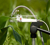 <p>PAM-2500 accessory for field measurements: Light and temperature-sensing leaf clip (type 2030-B) on tripod.</p>
