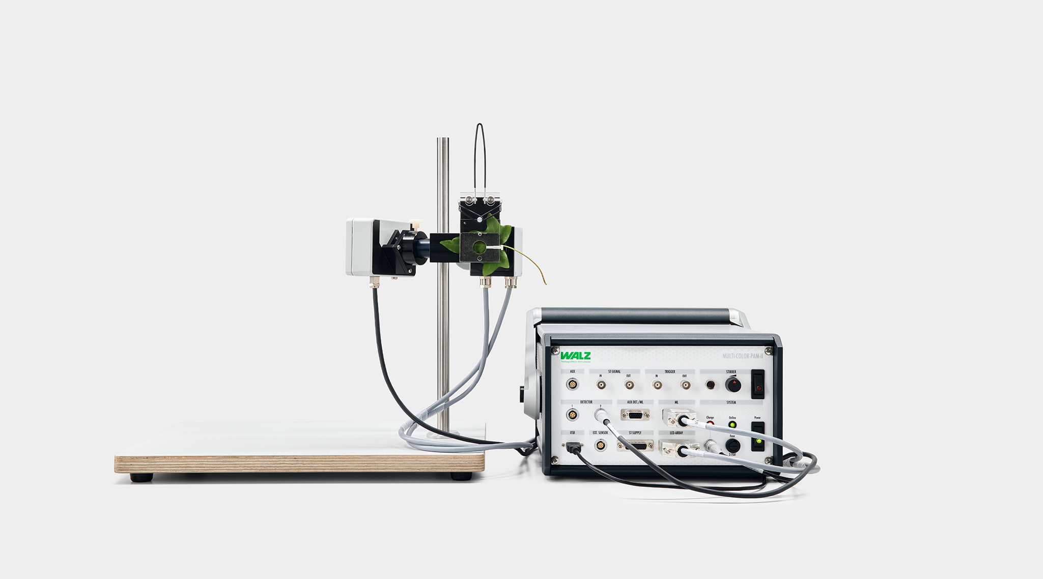 Leaf clip MCP-BK designed for the MULTI-COLOR-PAM-I with the multi-color emitter and detector of the MULTI-COLOR-PAM-II connected.