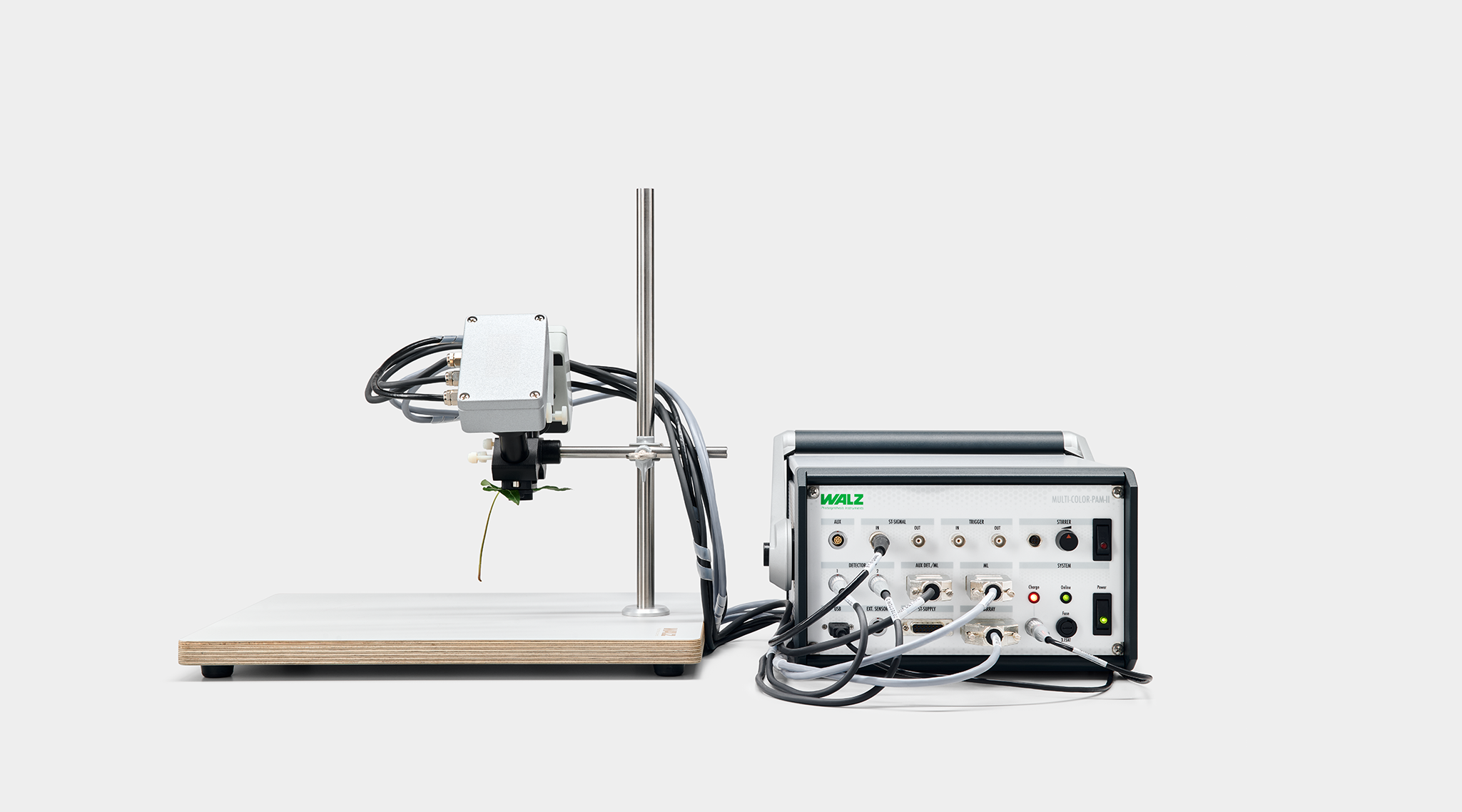 Leaf configuration with the multi-color emitter in the center and the two detectors under a 45&deg; angle on both sides placed in the leaf clip MCP-II-BK.&nbsp;