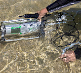 Measuring photosynthesis in beach rock biofilm, Heron Island, GBR, Australia. Photograph courtesy of Erik Trampe, Department of Biology, University of Copenhagen