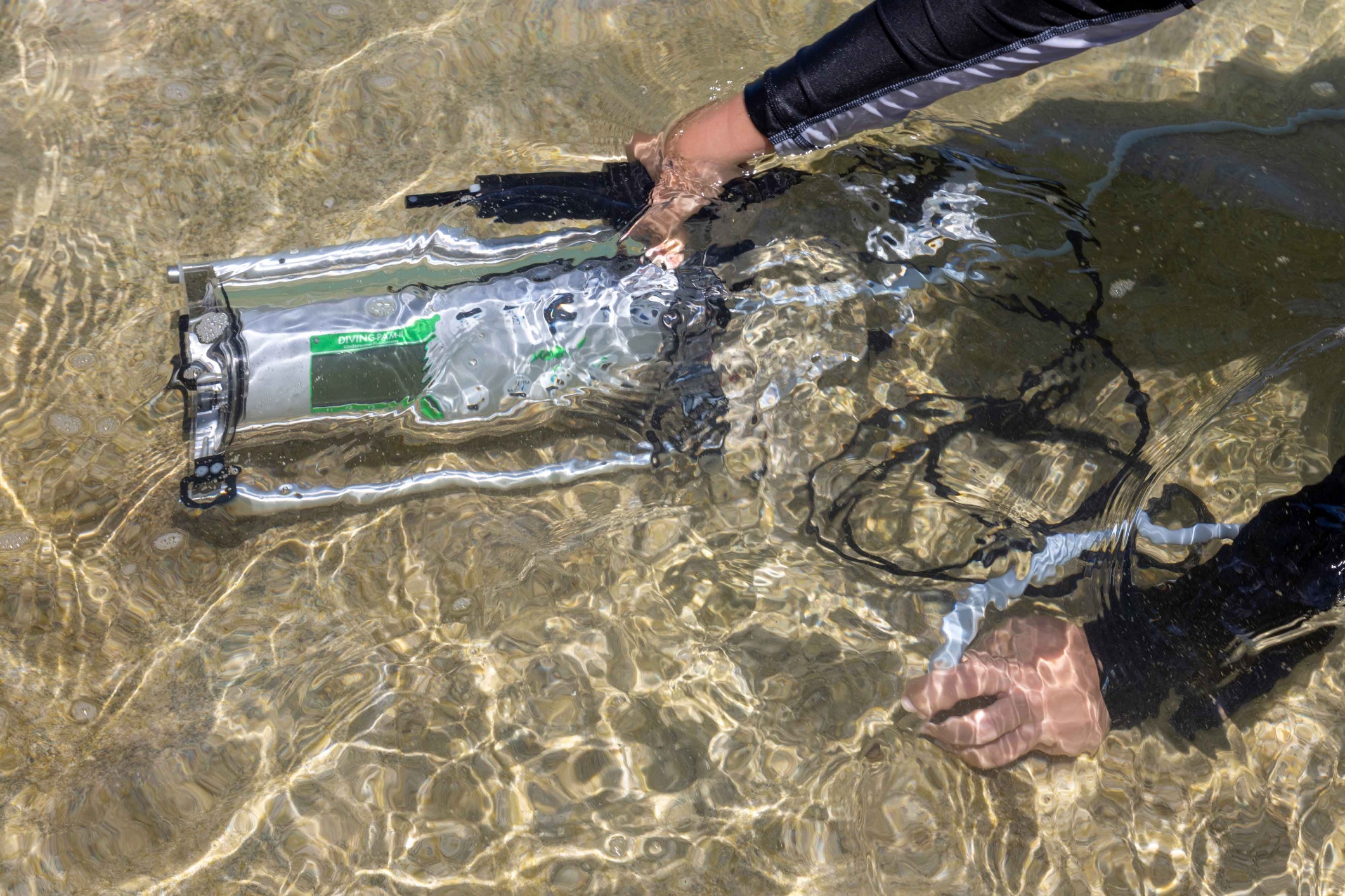 Measuring photosynthesis in beach rock biofilm, Heron Island, GBR, Australia. Photograph courtesy of Erik Trampe, Department of Biology, University of Copenhagen