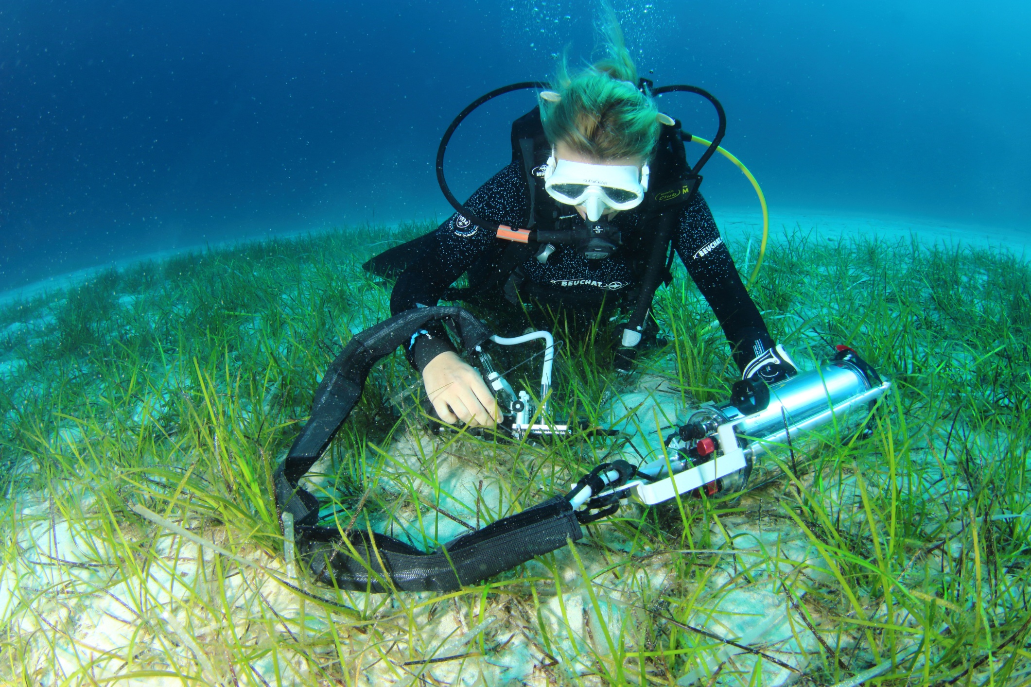 Scientific dive to study aquatic photosynthesis. By courtesy of Arnaud Abadie.